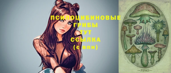 хмурый Киреевск