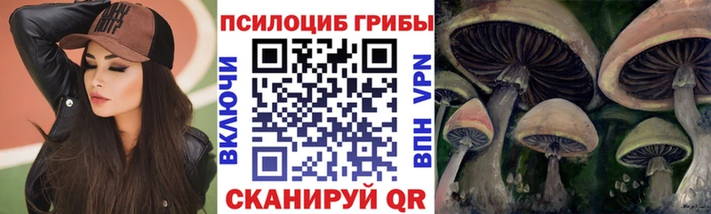 Псилоцибиновые грибы MAGIC MUSHROOMS  Купить  Осинники 